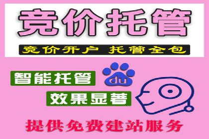 百度推广竞价全解析：某电商平台的营销策略